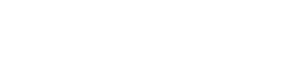 Adwiser logo